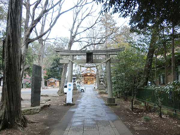 f:id:inudenchi:20220322192539j:plain