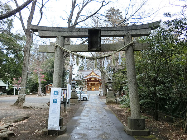 f:id:inudenchi:20220322192610j:plain