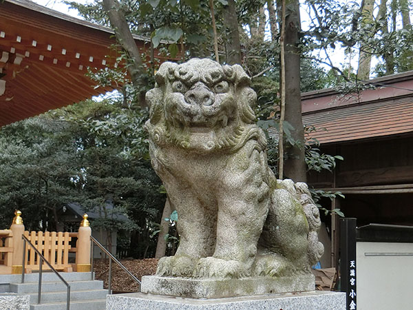 f:id:inudenchi:20220322192949j:plain