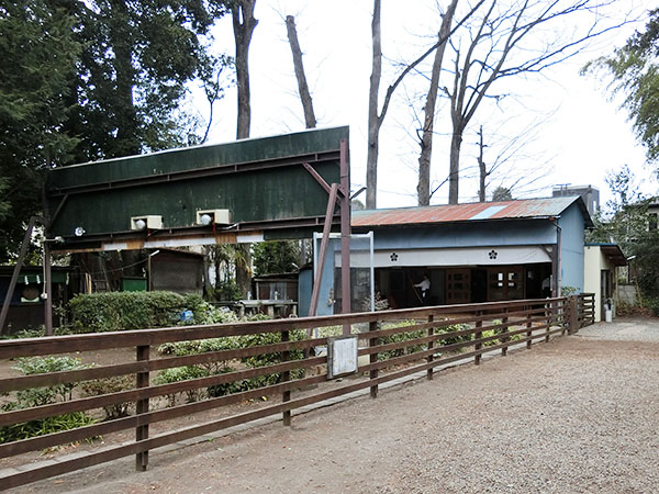 f:id:inudenchi:20220322201604j:plain