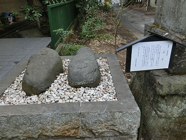 f:id:inudenchi:20220322201708j:plain