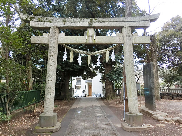 f:id:inudenchi:20220322201750j:plain