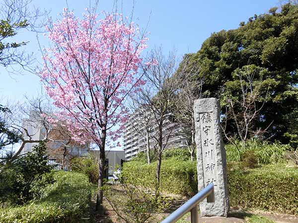 f:id:inudenchi:20220327185000j:plain