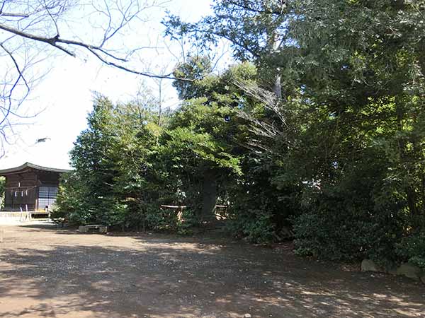 f:id:inudenchi:20220327185632j:plain