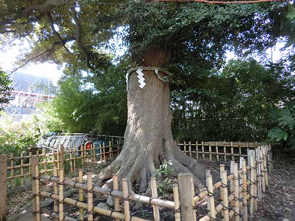 f:id:inudenchi:20220327185724j:plain