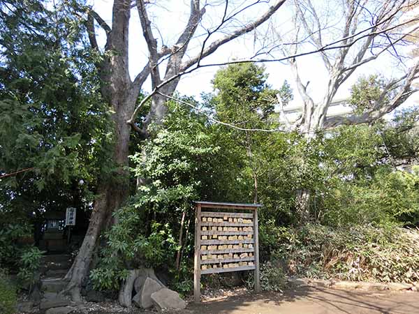 f:id:inudenchi:20220327185755j:plain