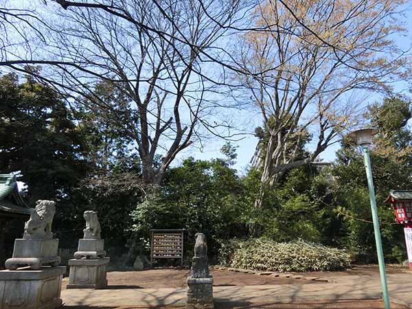 f:id:inudenchi:20220327190353j:plain