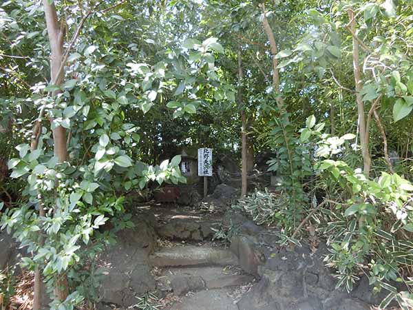 f:id:inudenchi:20220327190415j:plain