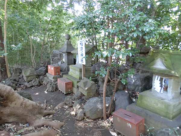 f:id:inudenchi:20220327190428j:plain