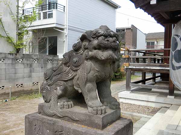 練馬白山神社の狛犬