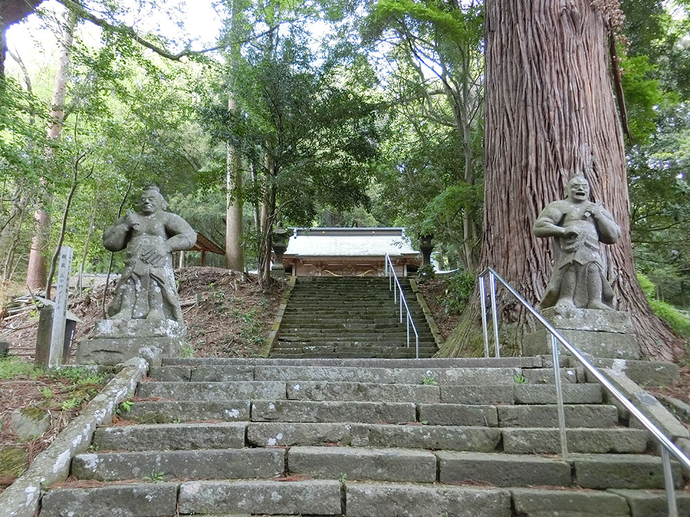 下野八幡大神社の有馬杉