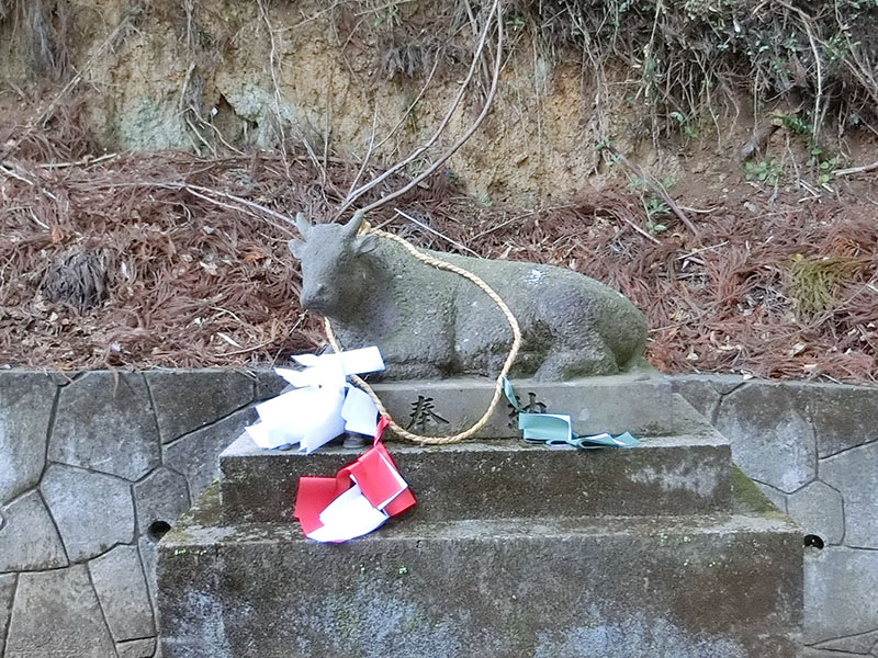 石神神社の牛