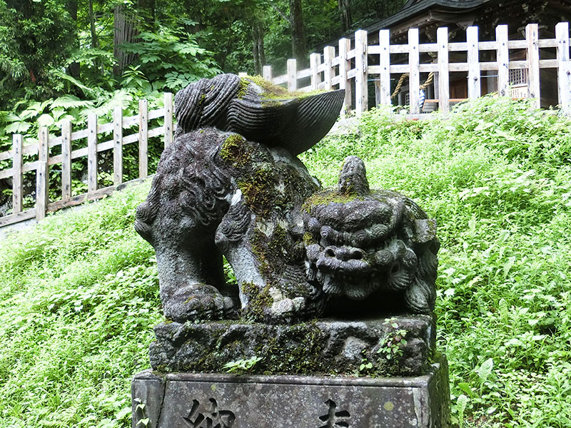 戸隠神社奥社の狛犬