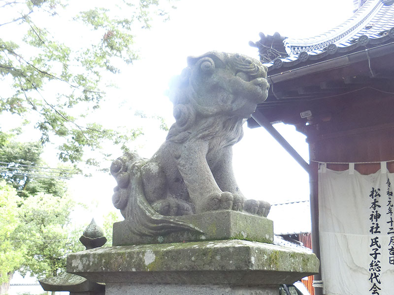 松本神社の狛犬