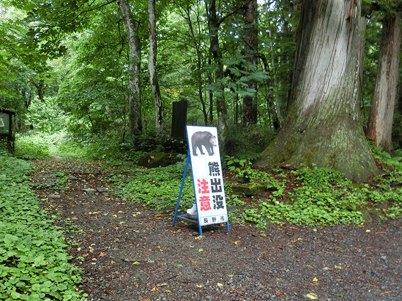 戸隠神社の熊