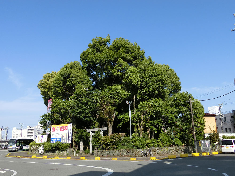 世木神社の紹介