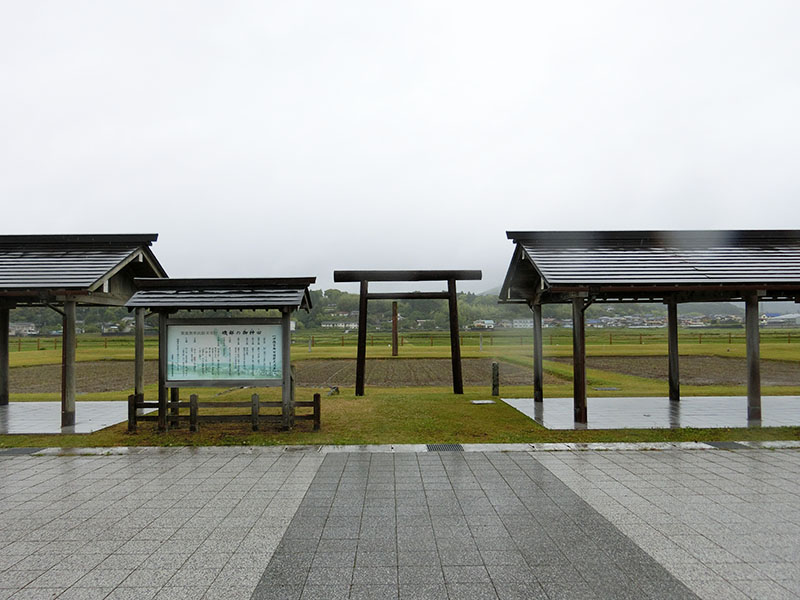 伊雑宮の御神田