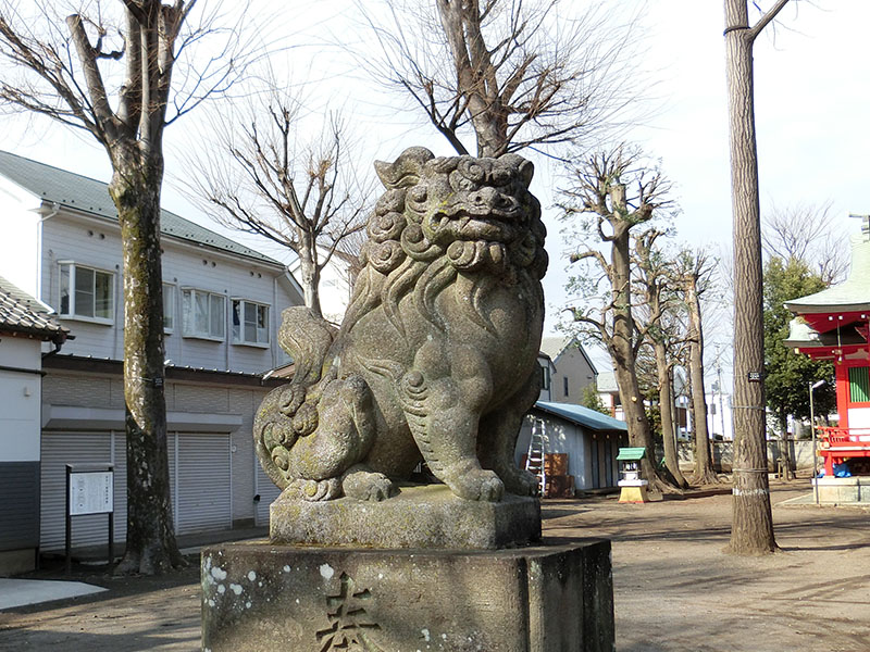 本多八幡神社の狛犬