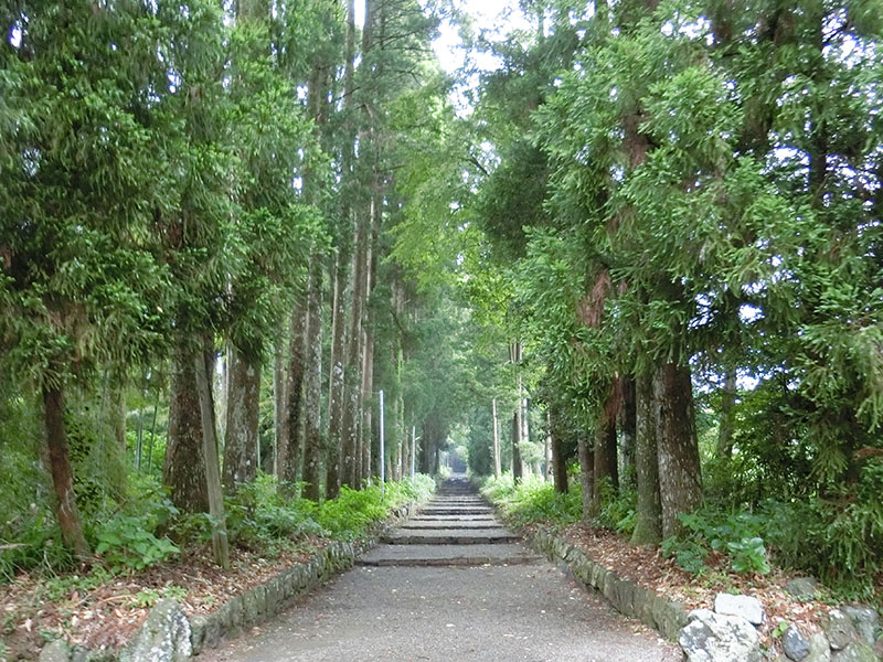狭野神社の参道