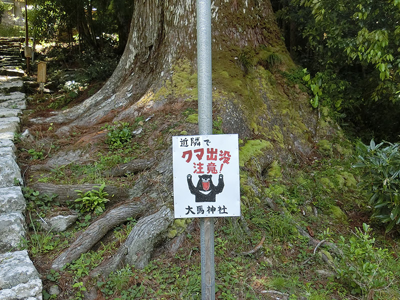 大馬神社のクマ注意