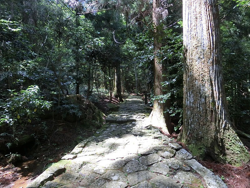 大馬神社の参道