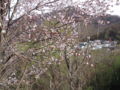旭山記念公園なう