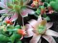 20120713172619