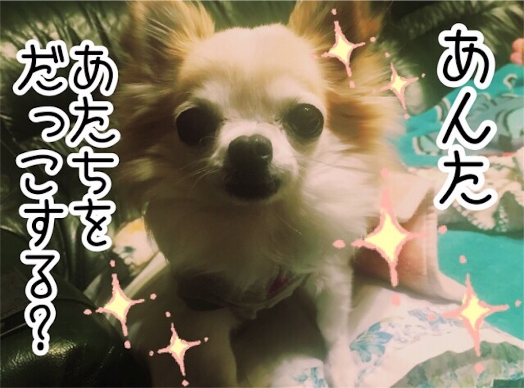 f:id:inugra:20170214005323j:image