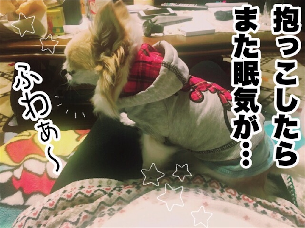 f:id:inugra:20170214005331j:image