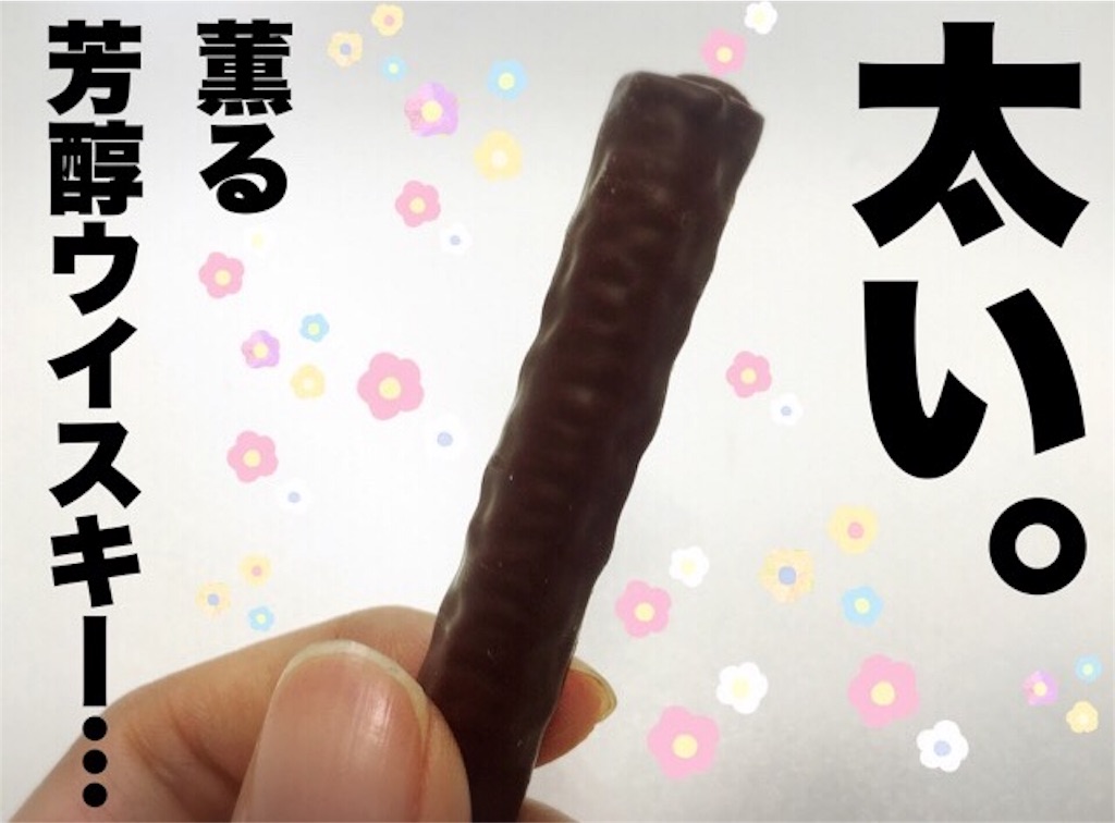 f:id:inugra:20170214155439j:image