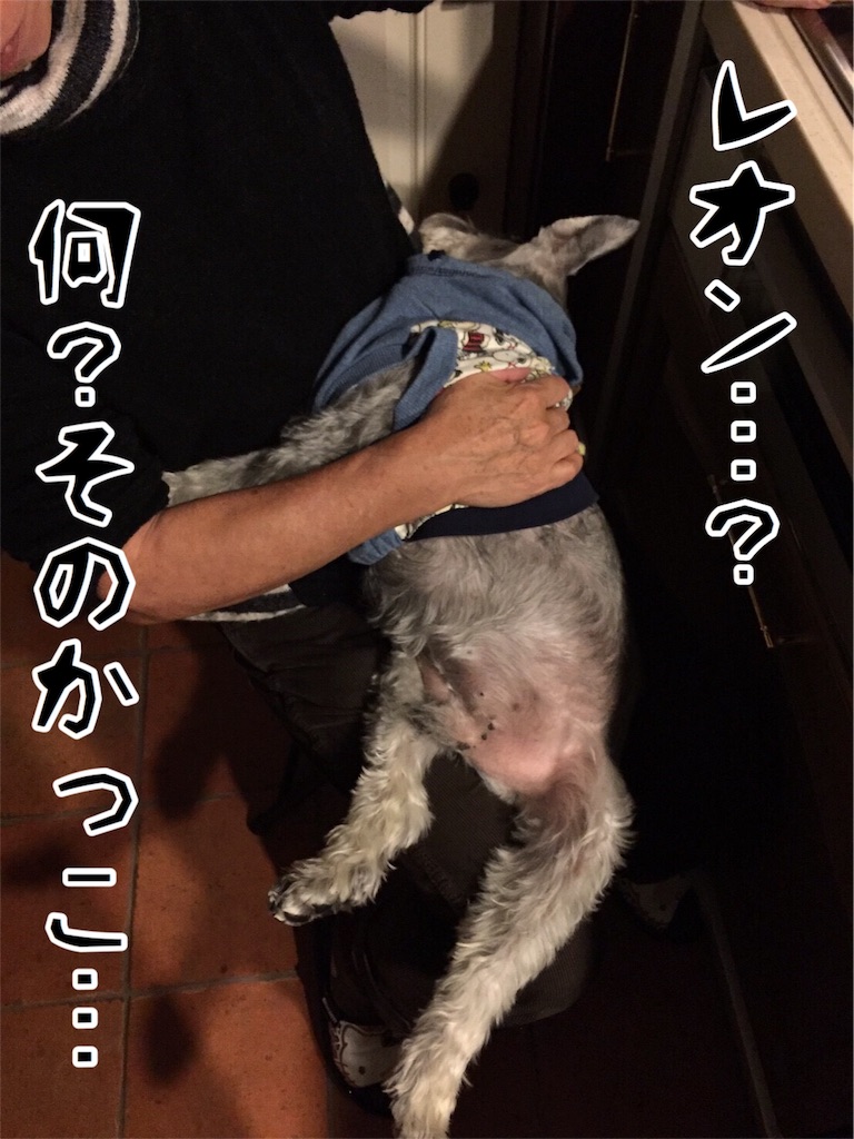 f:id:inugra:20170224155708j:image
