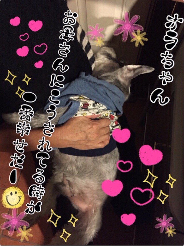 f:id:inugra:20170224160203j:image