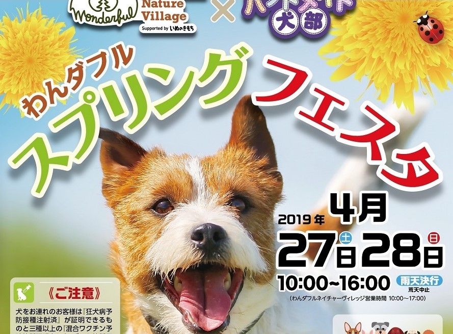f:id:inuibe:20190417121316j:plain