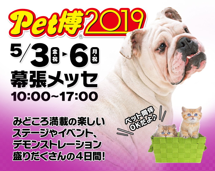 f:id:inuibe:20190419110705j:plain