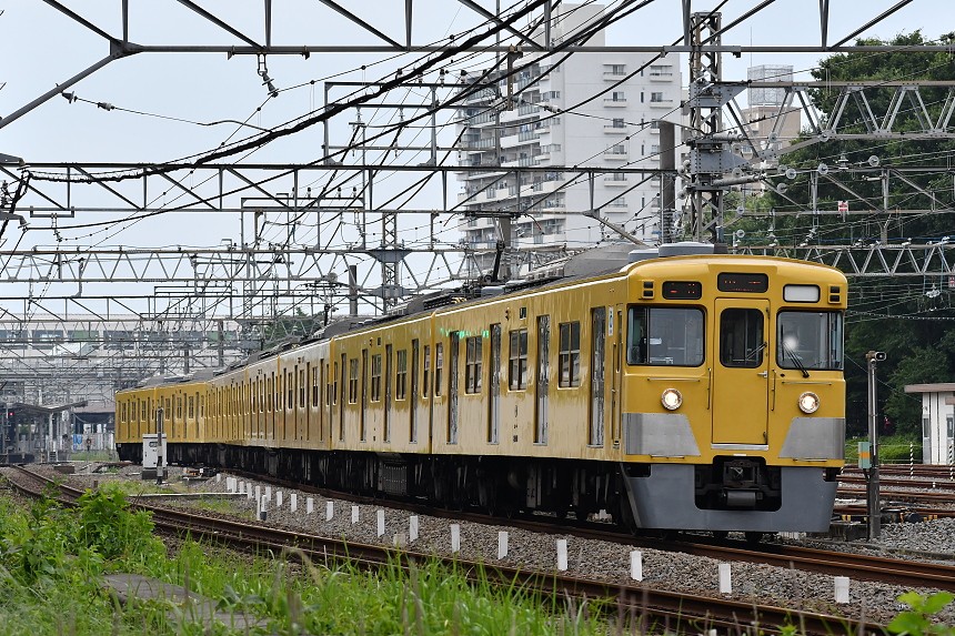 f:id:inumaki_go:20190728020729j:plain