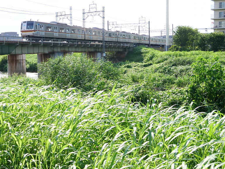 f:id:inumaki_go:20190910023246j:plain