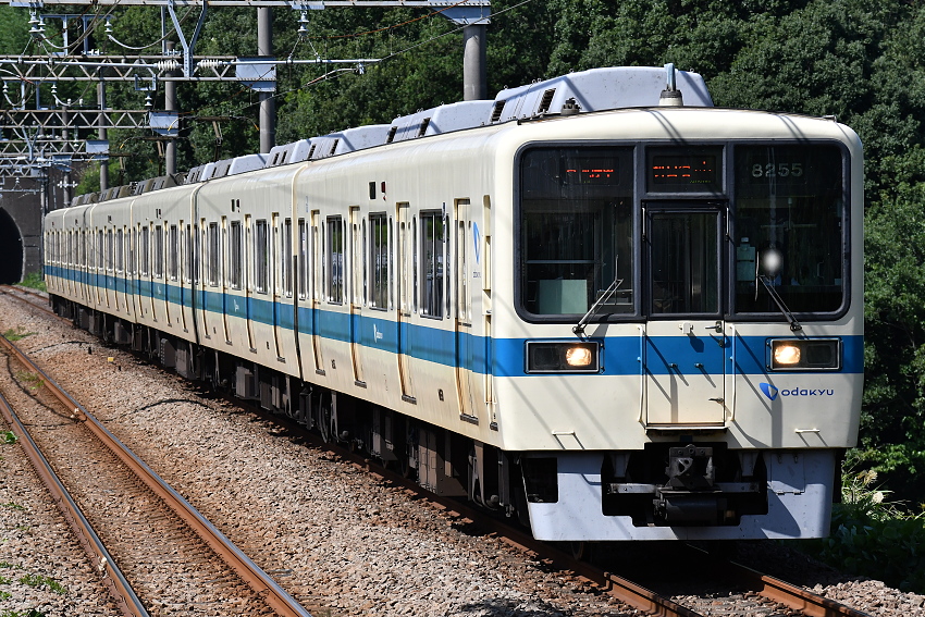 f:id:inumaki_go:20191103010028j:plain f:id:inumaki_go:20191103010028j:plain