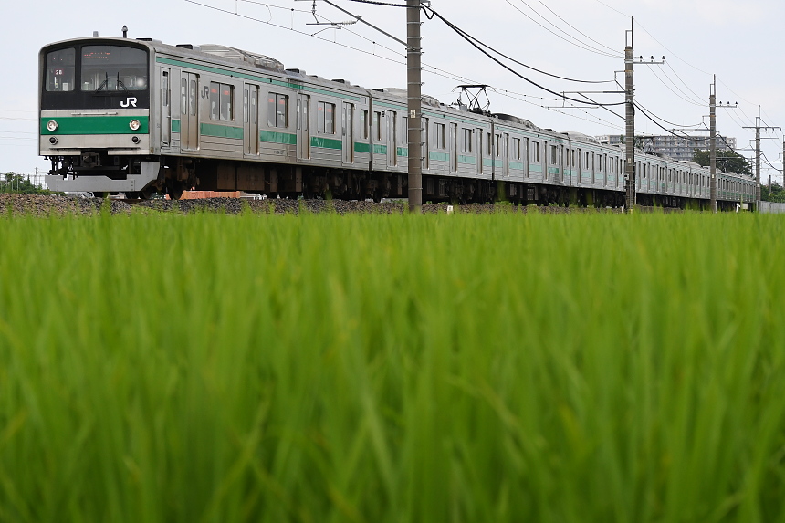 f:id:inumaki_go:20200414235134j:plain