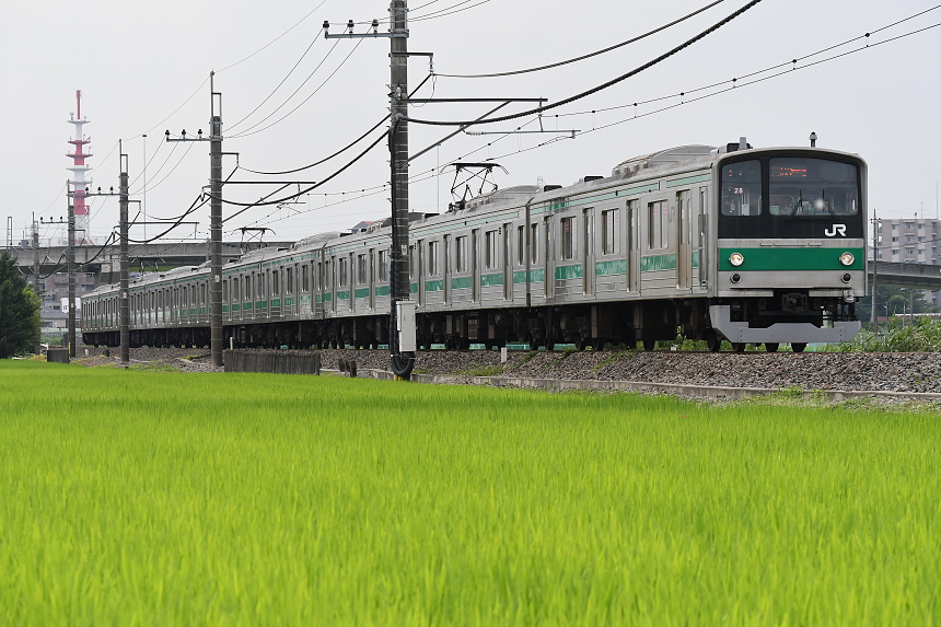 f:id:inumaki_go:20200414235214j:plain