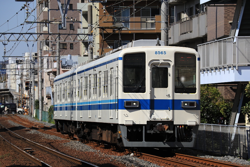 f:id:inumaki_go:20200717011315j:plain