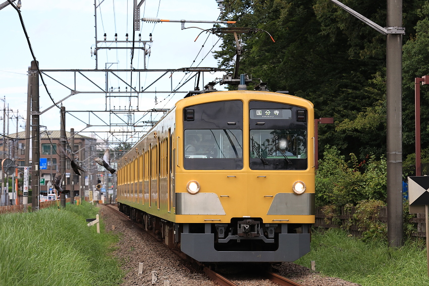 f:id:inumaki_go:20201112193627j:plain