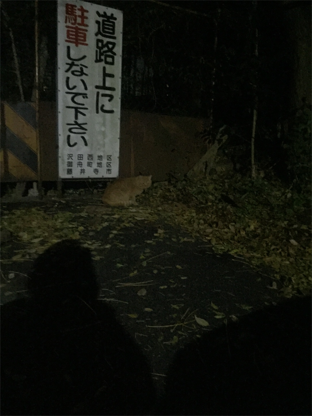 f:id:inunekosukuitai:20161231132753j:image f:id:inunekosukuitai:20161231132753j:image