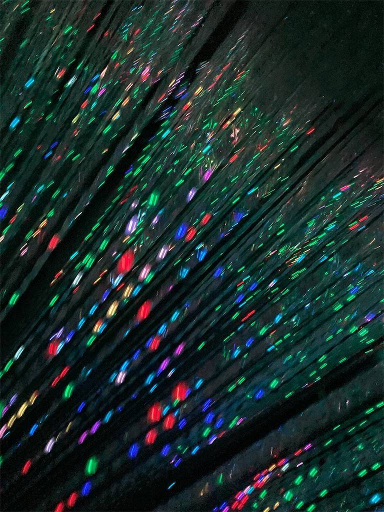 f:id:inunezuminagi:20210112230428j:image f:id:inunezuminagi:20210112230428j:image