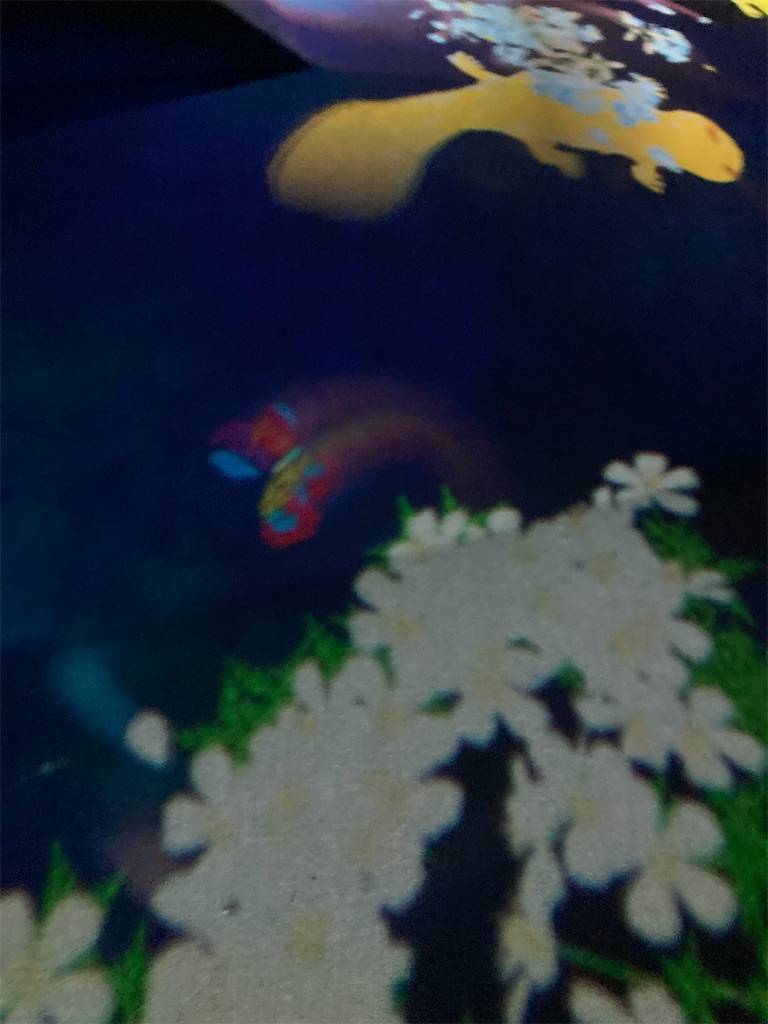 f:id:inunezuminagi:20210112233123j:image f:id:inunezuminagi:20210112233123j:image