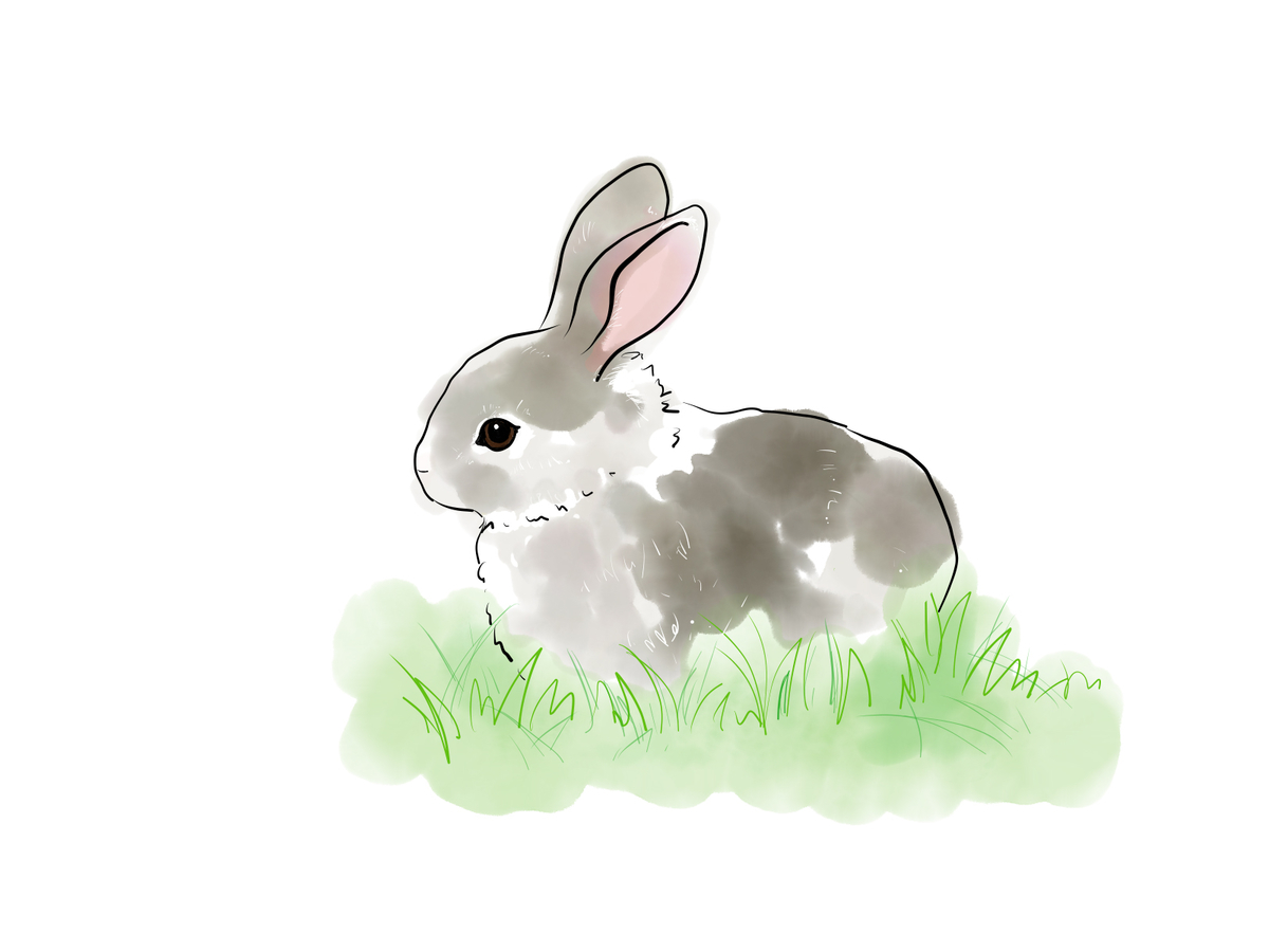 f:id:inunkun:20210723113349j:plain