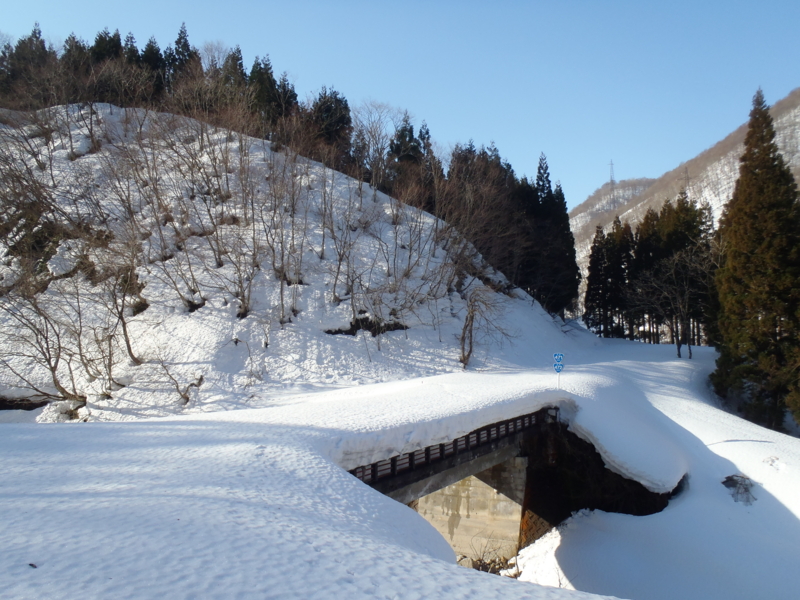 f:id:inutarou2525:20130309134852j:image:w640 f:id:inutarou2525:20130309134852j:image:w640