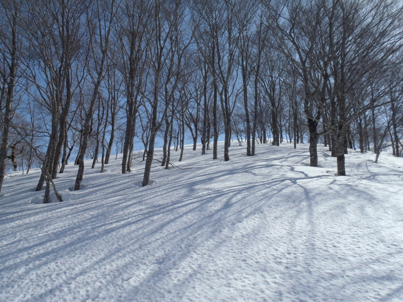 f:id:inutarou2525:20130309135005j:image:w640 f:id:inutarou2525:20130309135005j:image:w640