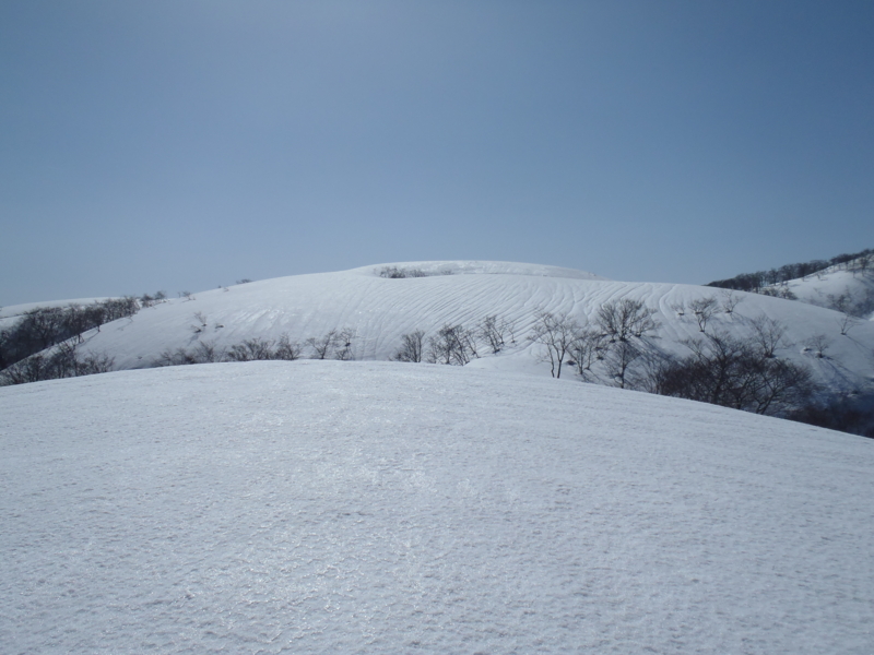 f:id:inutarou2525:20130309135711j:image:w640 f:id:inutarou2525:20130309135711j:image:w640