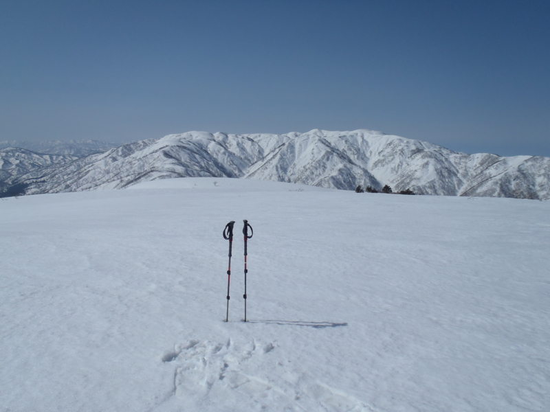 f:id:inutarou2525:20130309135907j:image:w640 f:id:inutarou2525:20130309135907j:image:w640
