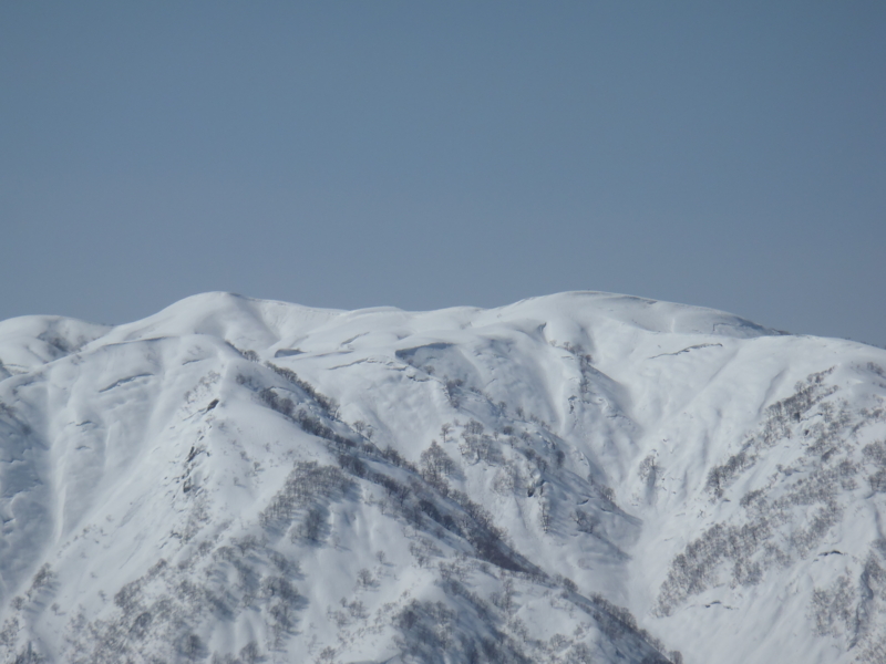 f:id:inutarou2525:20130309140150j:image:w640 f:id:inutarou2525:20130309140150j:image:w640